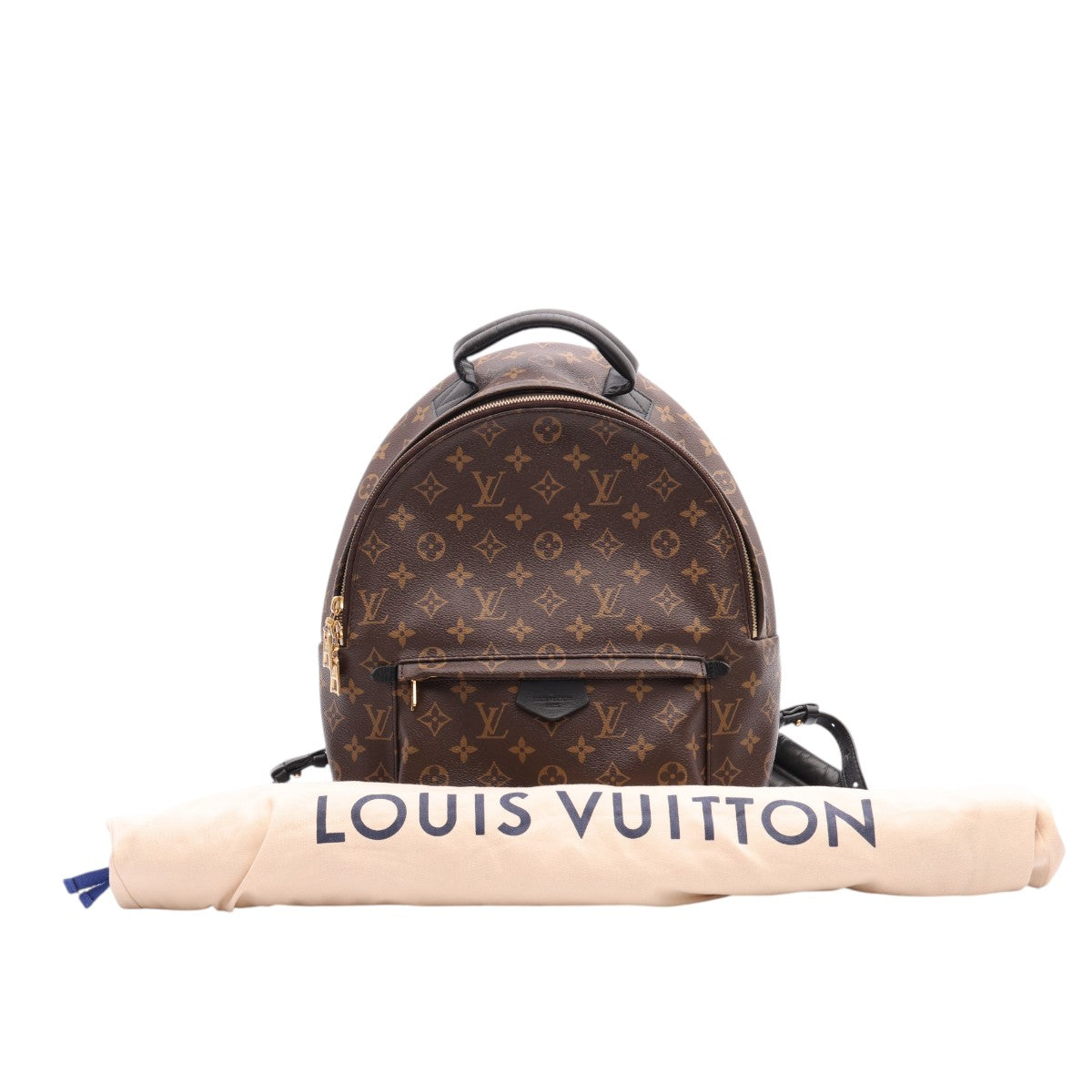 Pre-Owned Louis Vuitton Monogram Palm Springs MM