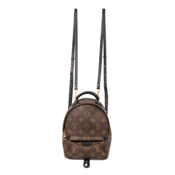 Pre-Owned Louis Vuitton Palm Springs Mini Backpack